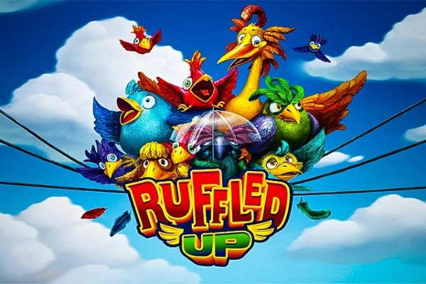 09701 ruffled up