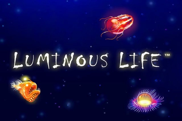 17357 luminous life